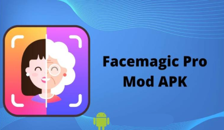 Face Magic Pro APK
